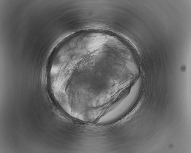X0000116281117201001111029