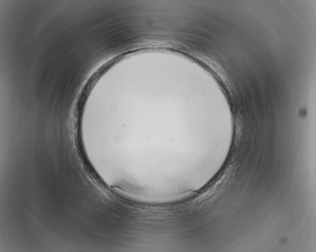 X0000116281119201001111029