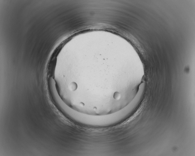 X0000116281122201001111029