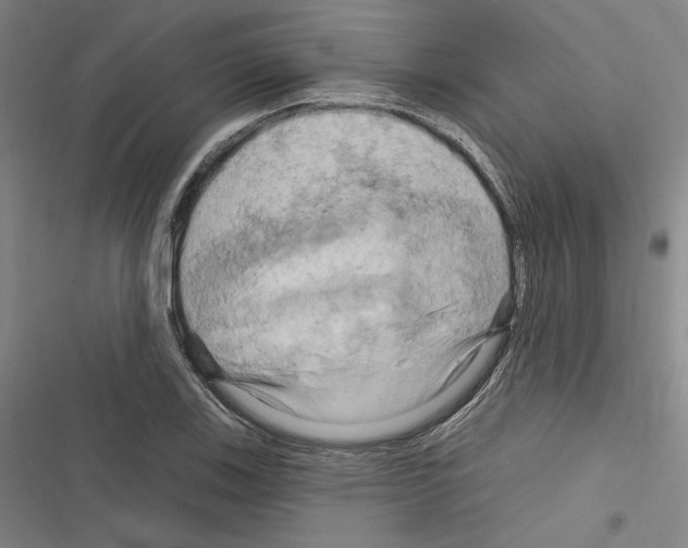 X0000116281123201001111029