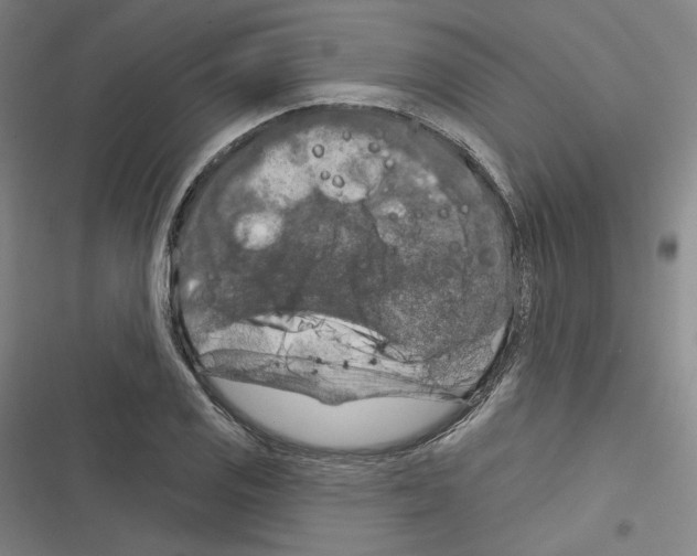 X0000116281125201001111030