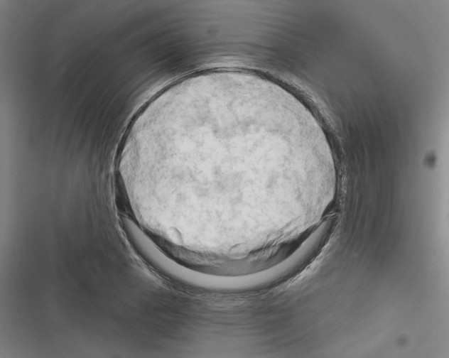 X0000116281129201001111030