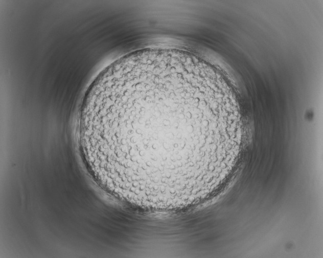 X0000116281130201001111030