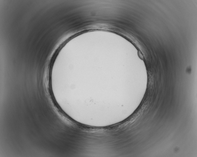 X0000116281131201001111030
