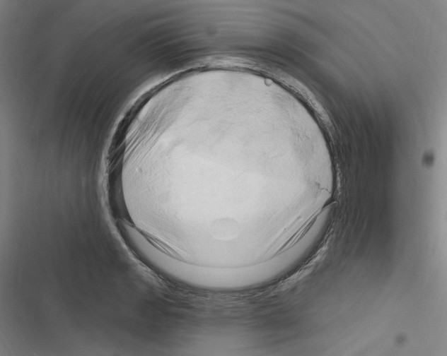X0000116281133201001111030