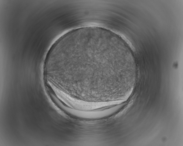 X0000116281134201001111030