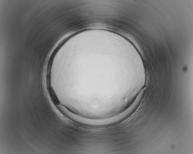 X0000116281139201001111030
