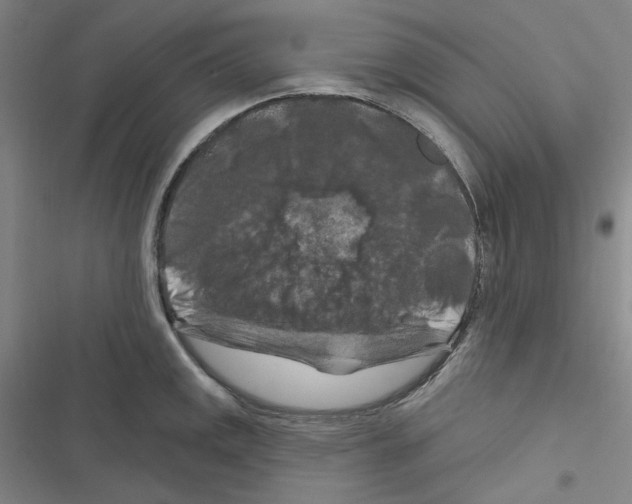 X0000116281141201001111030
