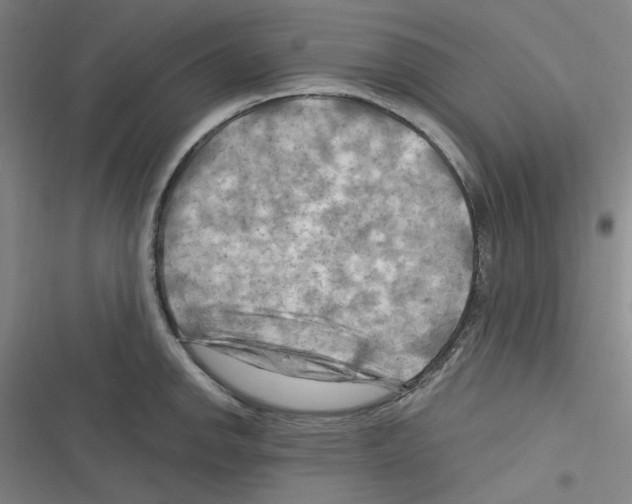 X0000116281142201001111030