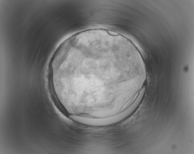 X0000116281143201001111030
