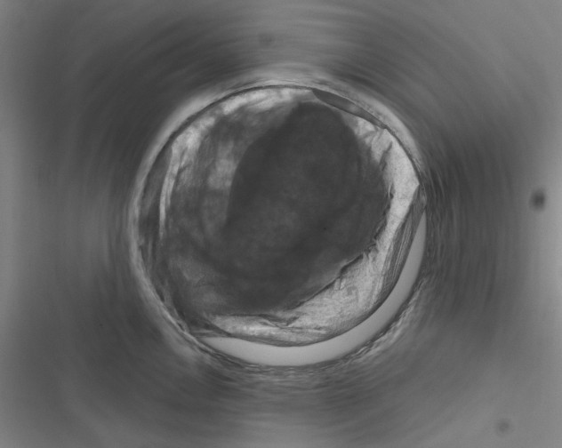 X0000116281146201001111030