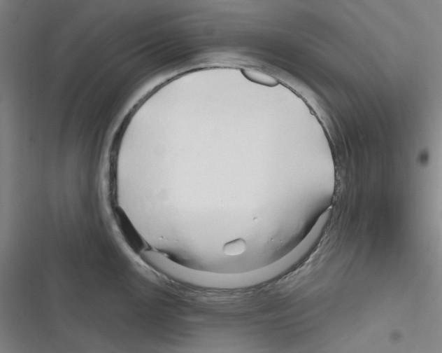 X0000116281147201001111030