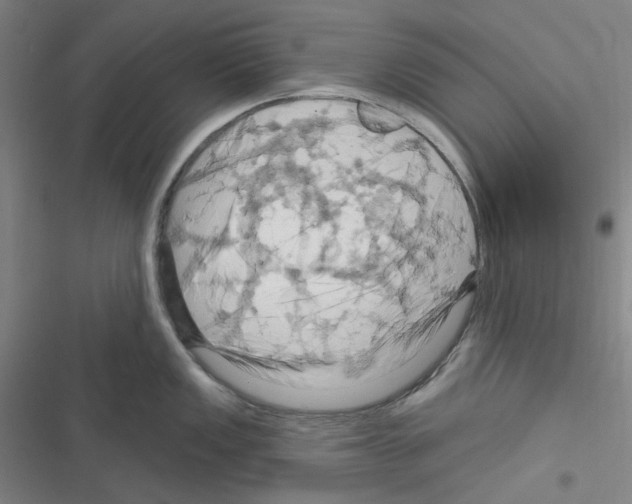 X0000116281149201001111030