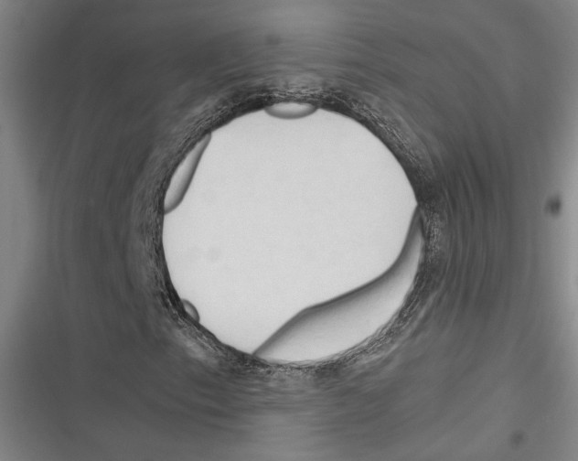 X0000116281153201001111029