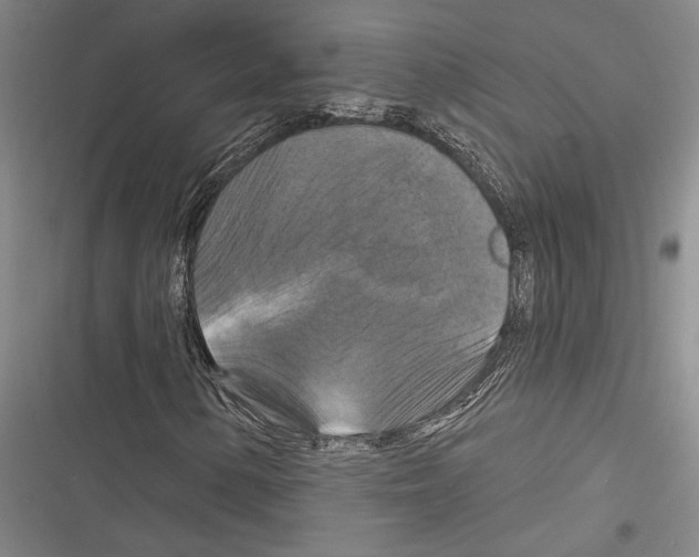 X0000116281154201001111029