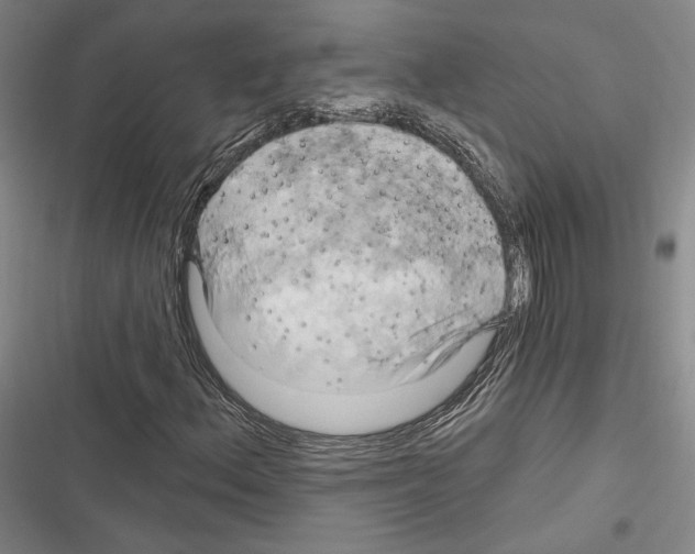 X0000116281156201001111029