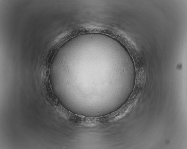 X0000116281157201001111029