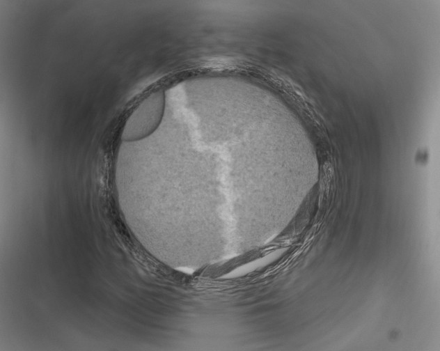 X0000116281158201001111029