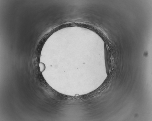 X0000116281159201001111029