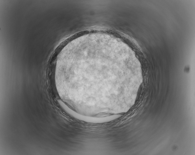 X0000116281160201001111029