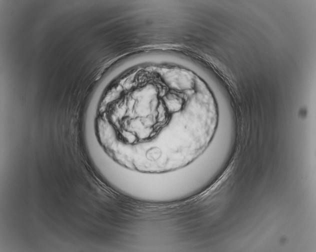 X0000116281161201001111029