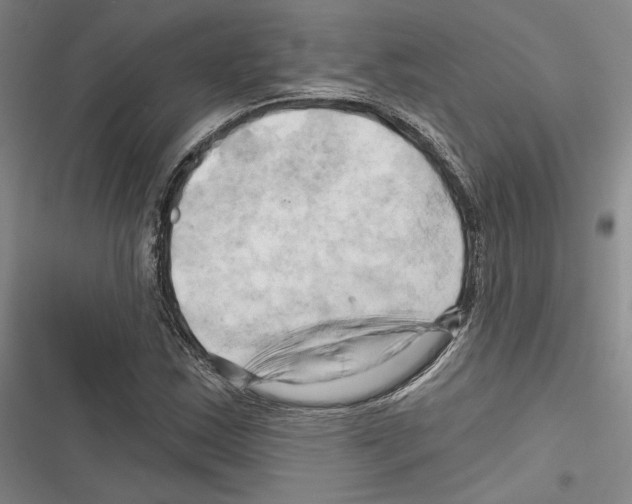X0000116281163201001111029