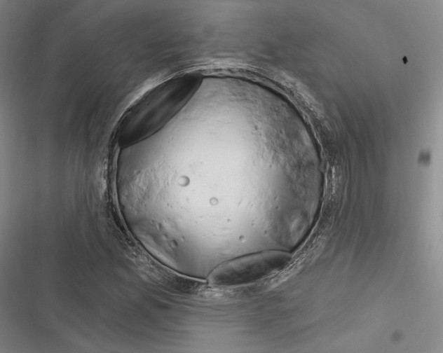 X0000116281165201001111029
