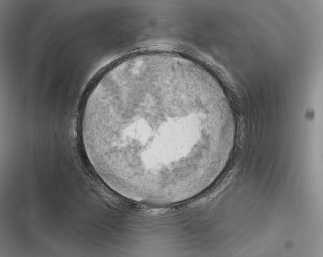 X0000116281166201001111029