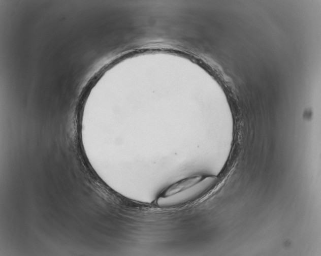 X0000116281167201001111029