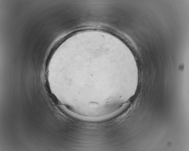 X0000116281172201001111029