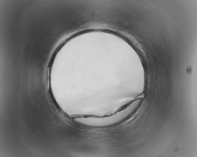 X0000116281175201001111029