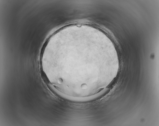 X0000116281176201001111029