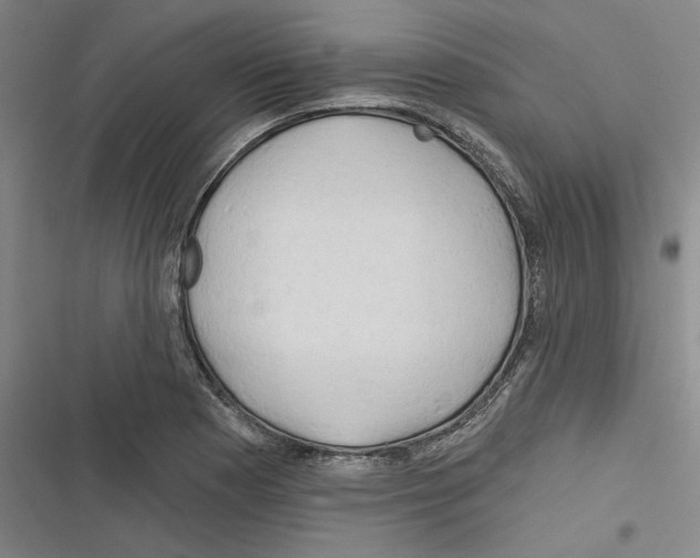 X0000116281177201001111029