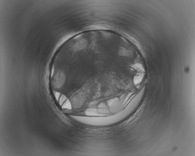 X0000116281179201001111029