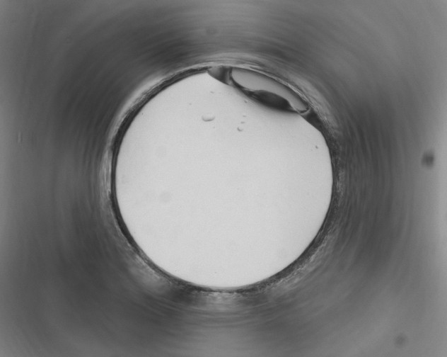 X0000116281180201001111029