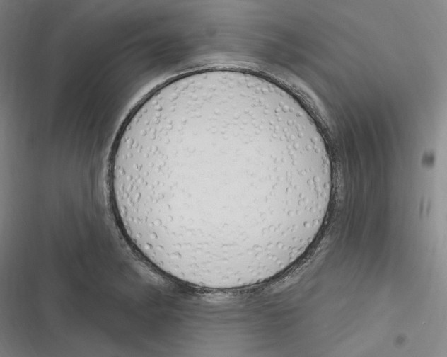 X0000116281182201001111029
