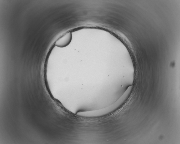 X0000116281183201001111029