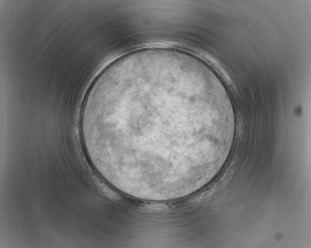 X0000116281186201001111029