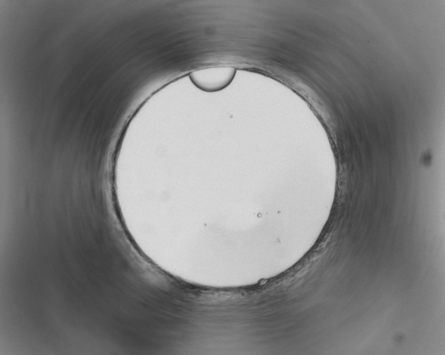 X0000116281187201001111029