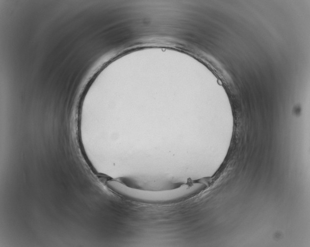 X0000116281188201001111029
