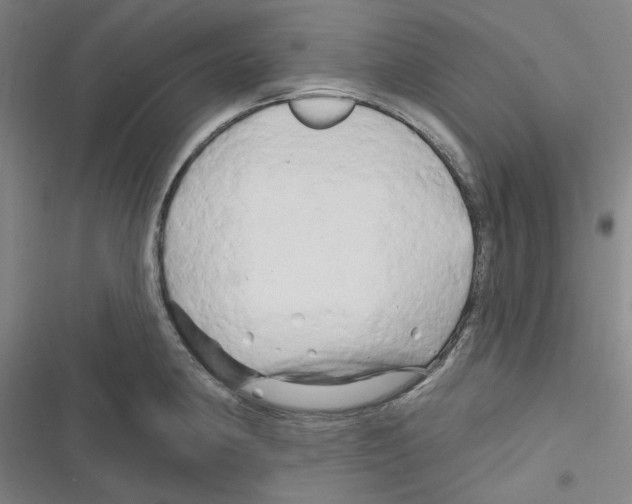 X0000116281190201001111029
