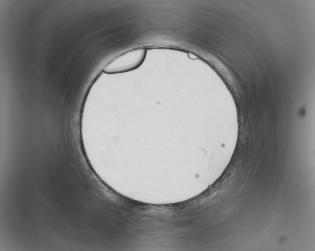 X0000116281191201001111029