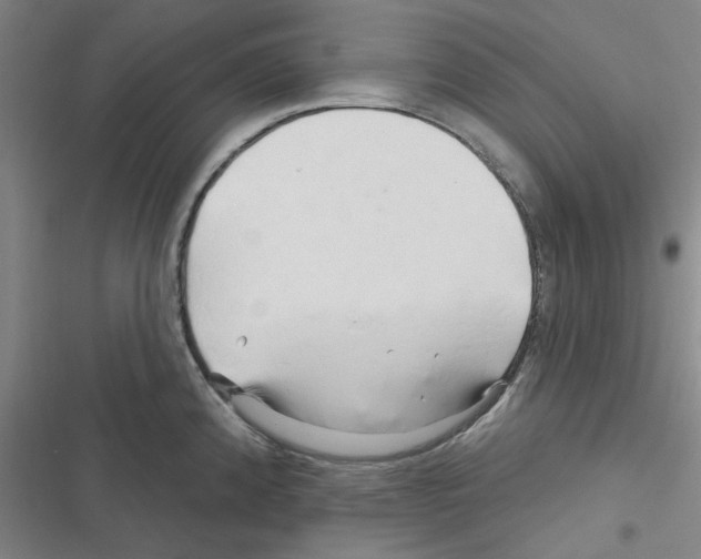 X0000116281192201001111029