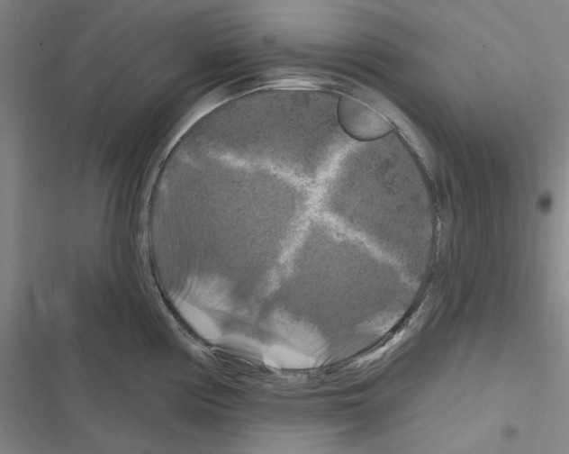 X0000116281194201001111029