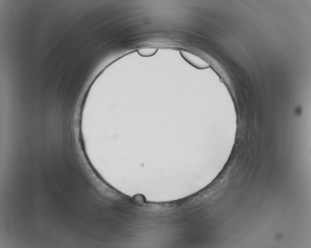 X0000116281195201001111029