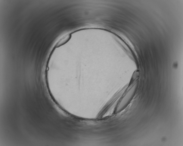 X0000116281197201001111029