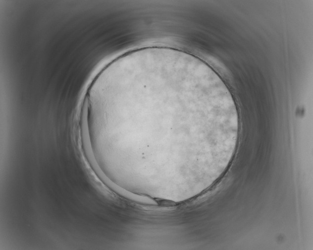 X0000116281200201001111029