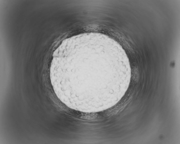 X0000116281201201001111028