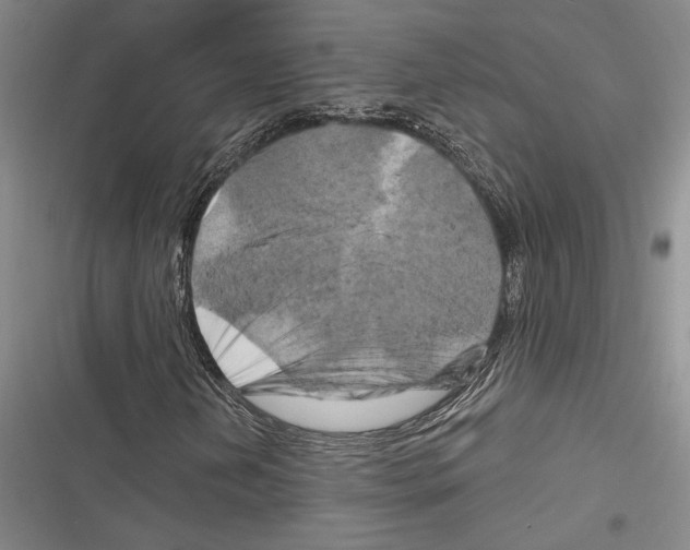 X0000116281202201001111028