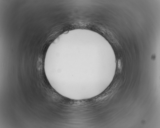 X0000116281203201001111028